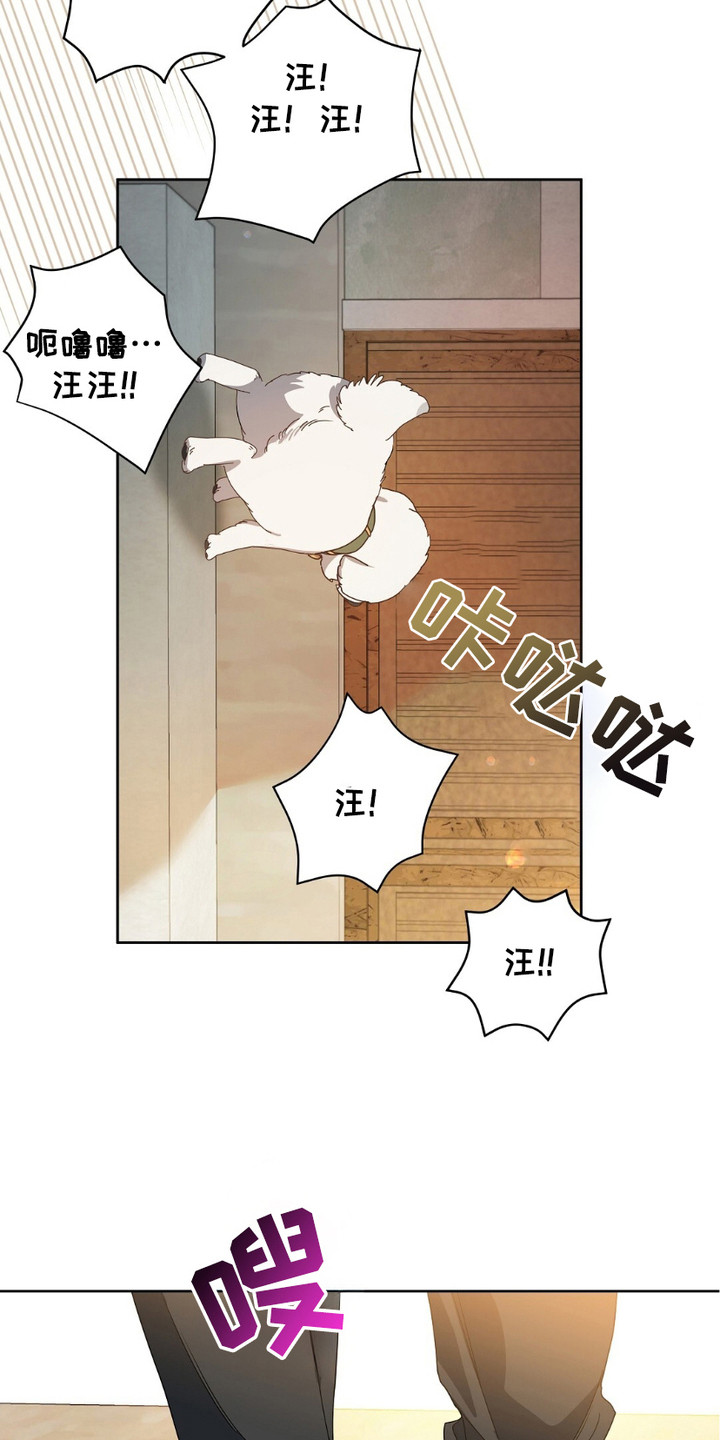 樱桃甜点 - 不速之客 - 第16页