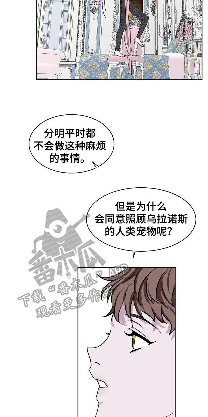 饲养计划 - 喜好 - 第15页