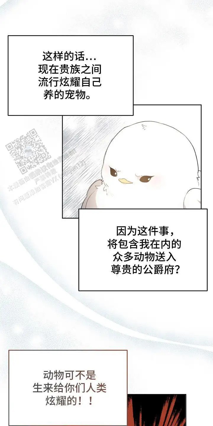白鸟奇遇记 - 公爵 - 第6页