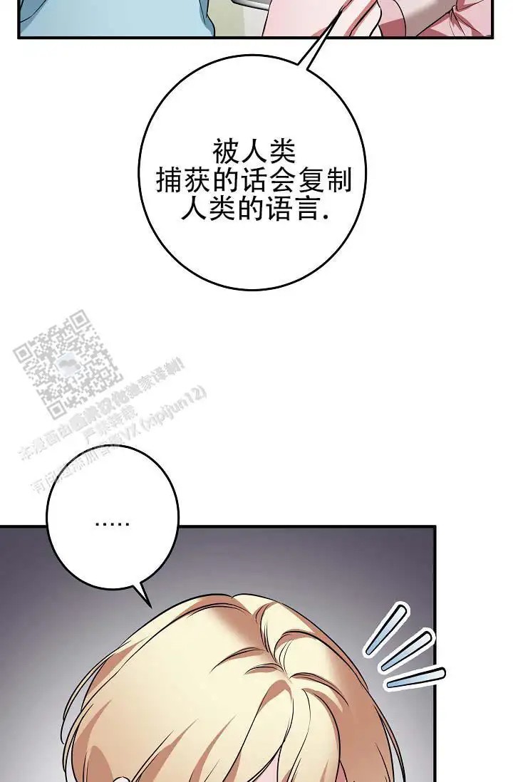 人鱼少爷日记 -    - 第18页