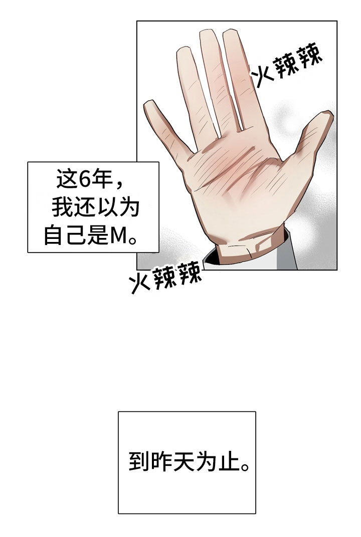 以爱为鞭 - 偷看 - 第6页