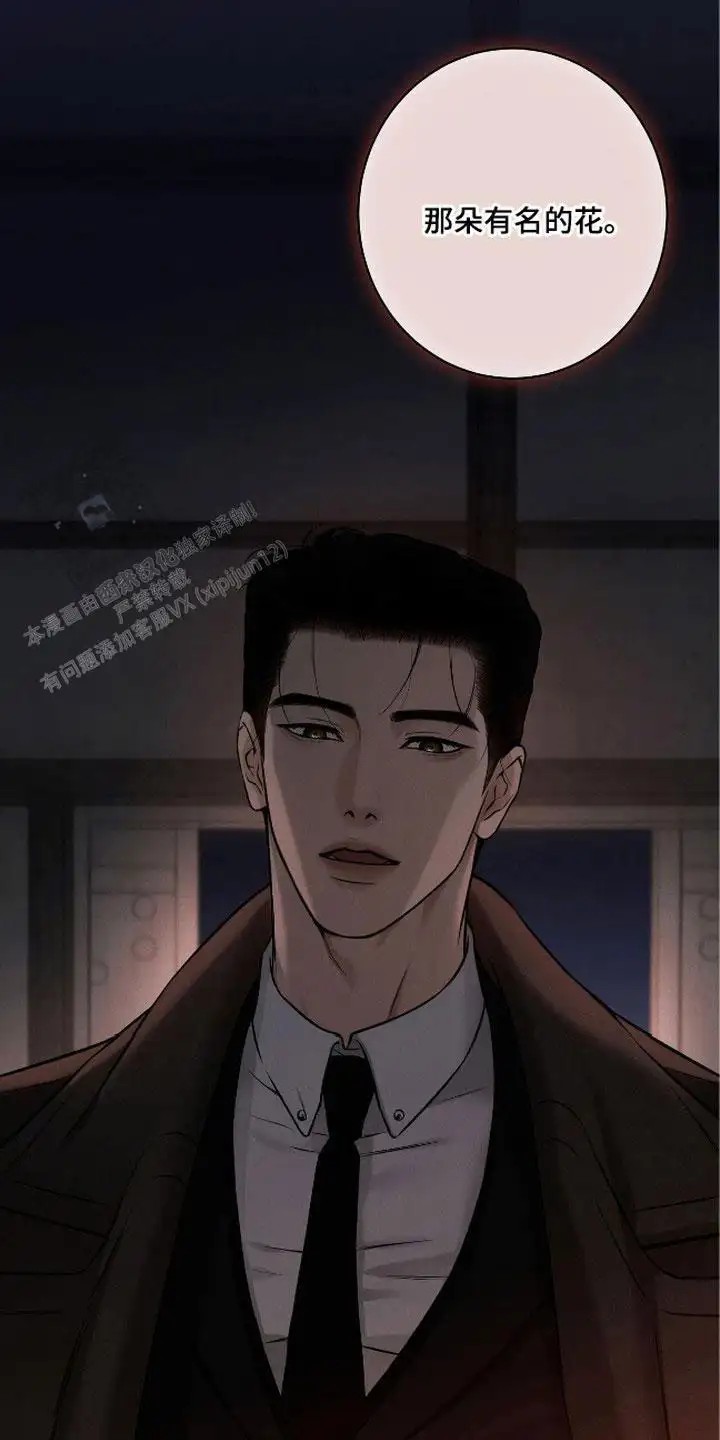 三月的樱花 - 打招呼 - 第16页