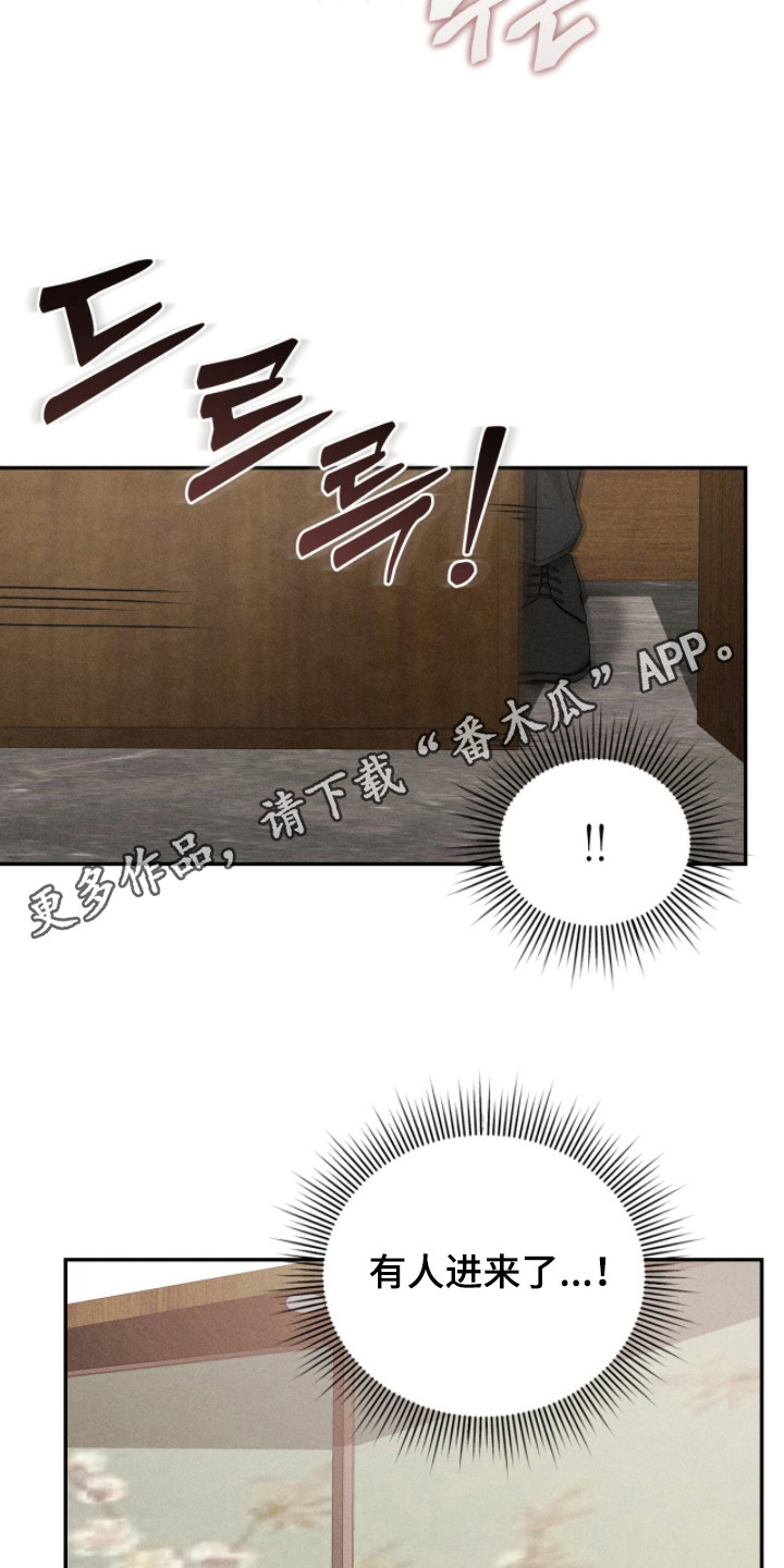 危情三人戏 - 双胞胎 - 第12页