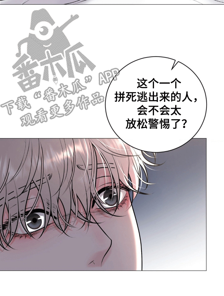幻觉 - 离开 - 第21页