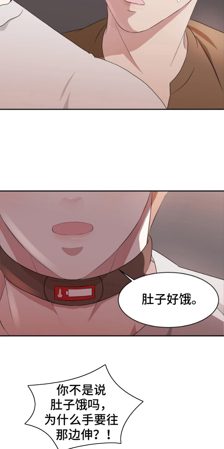 意外旅行记 - 开动了 - 第11页