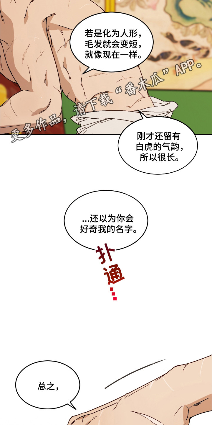 白虎之王 - 郎君 - 第12页