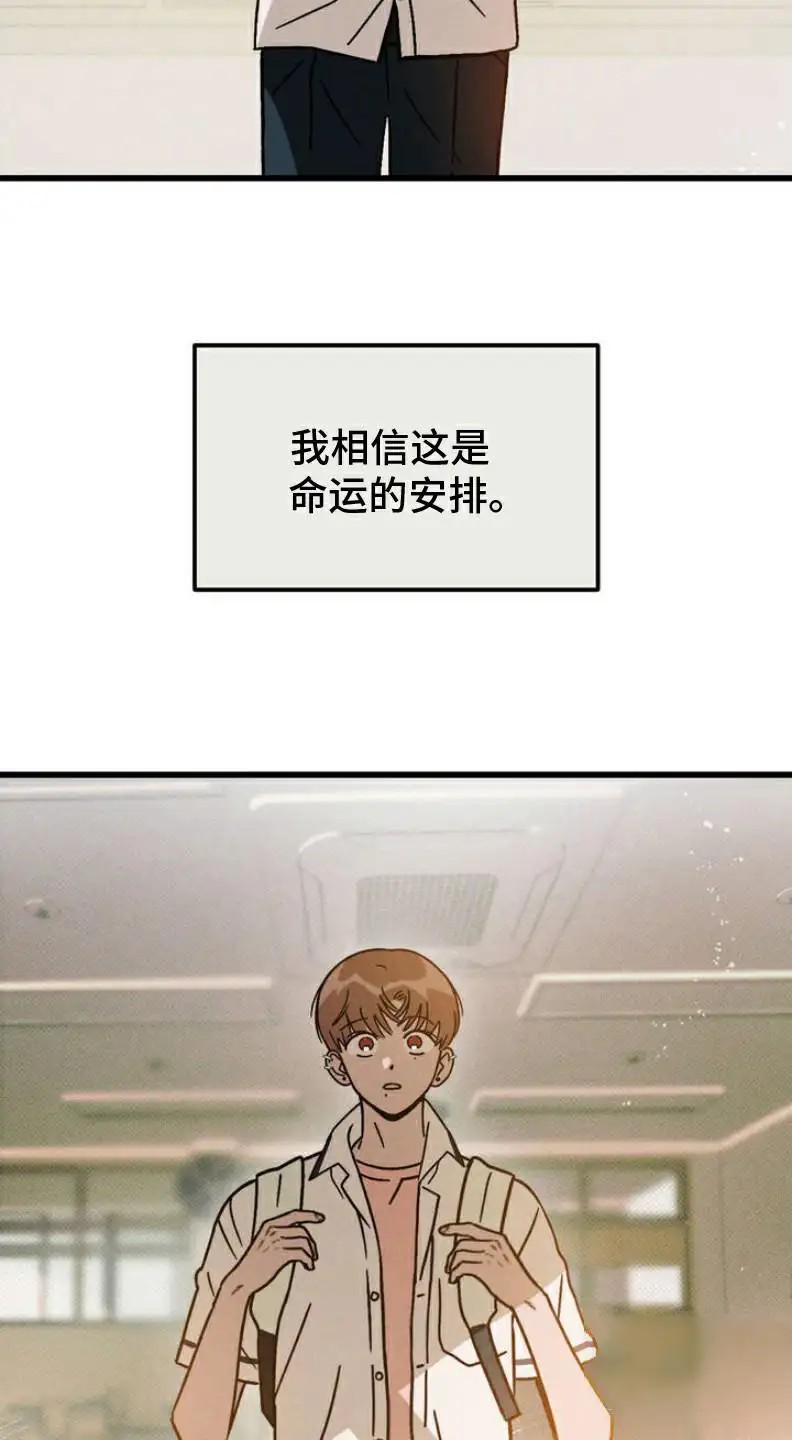穿越告白 - 命运的安排 - 第14页
