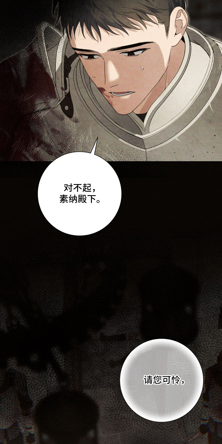 神堕之夜 - 骑士 - 第22页