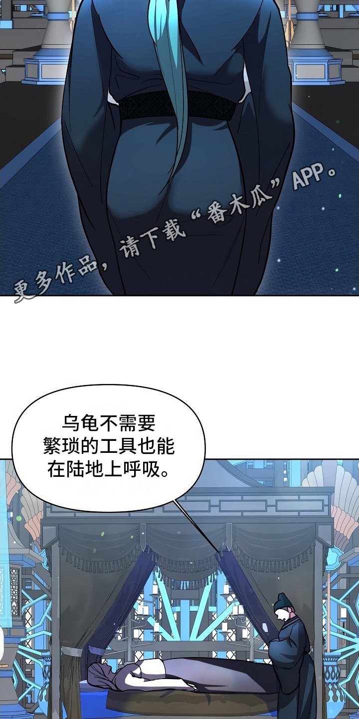 腹黑兔子 - 临行准备 - 第6页