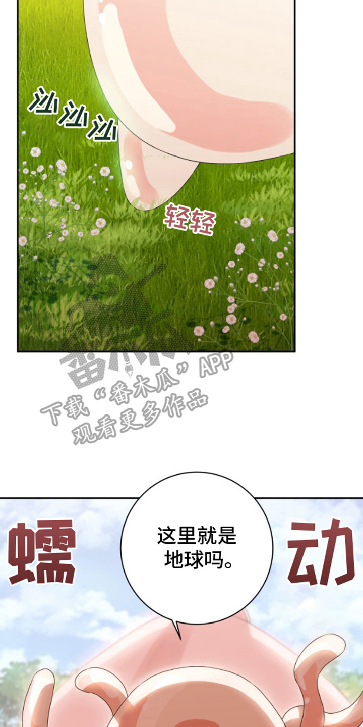 意外旅行记 - 迫降 - 第8页