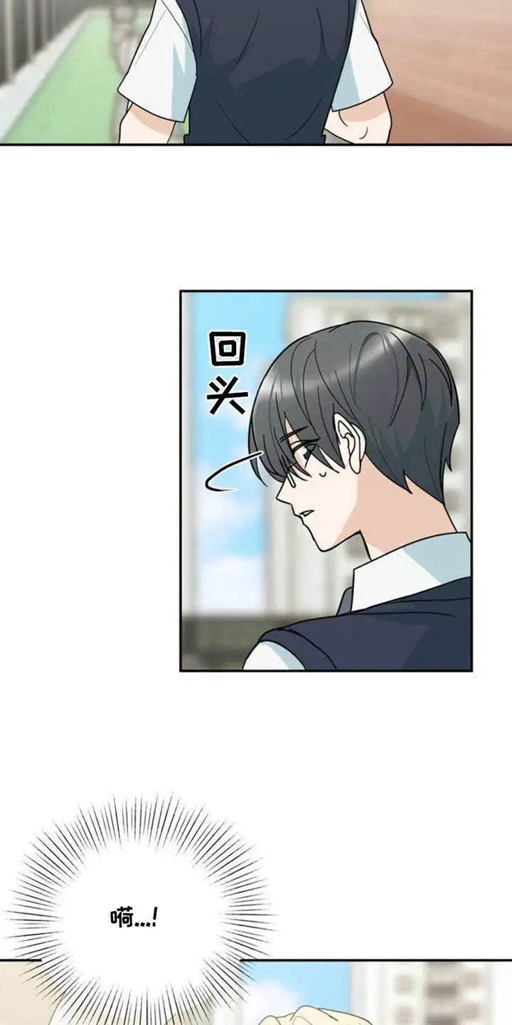 互补人生 - 叫什么名字 - 第15页