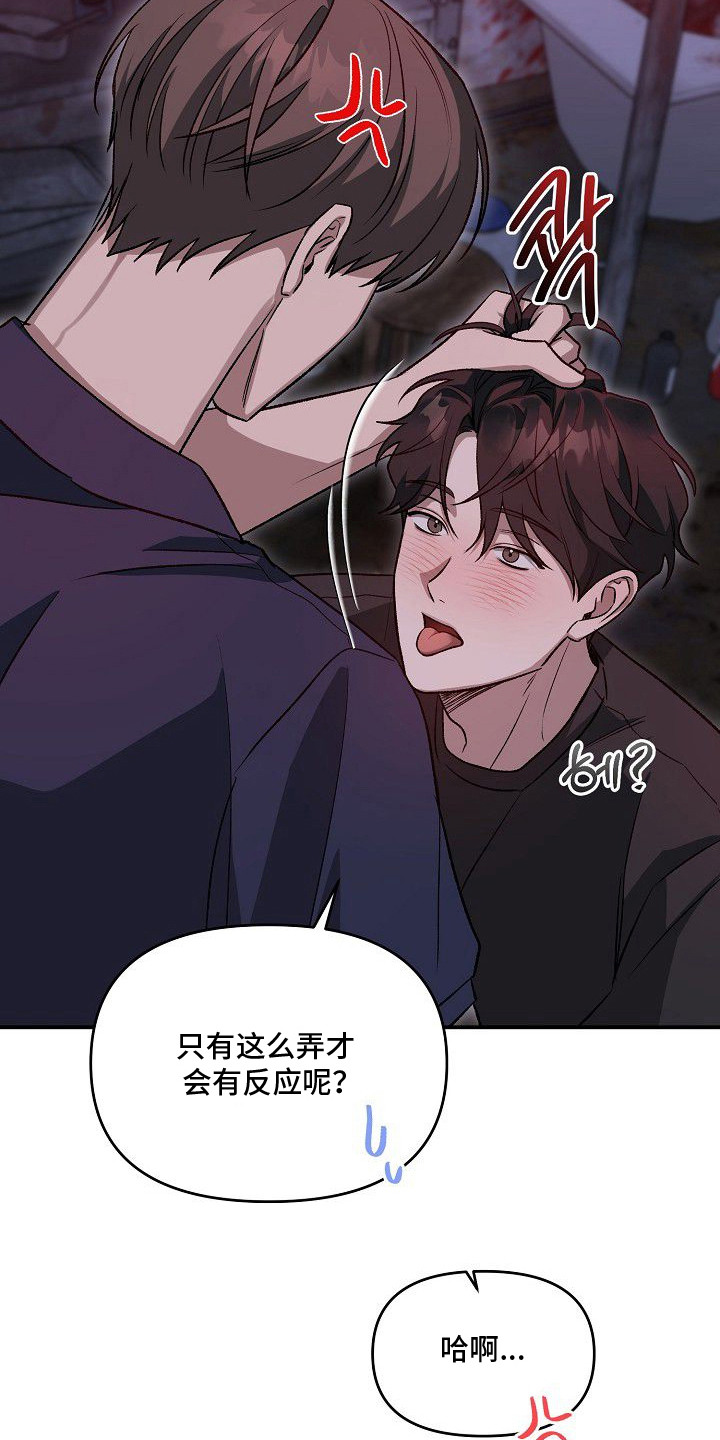 亲爱的杀手 - 稳妥的办法 - 第25页