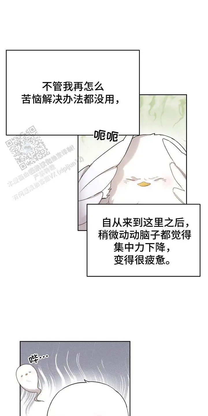 白鸟奇遇记 - 是真的 - 第7页