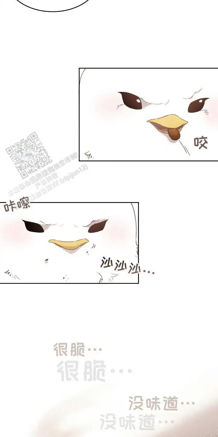 白鸟奇遇记 - 性格不好 - 第15页