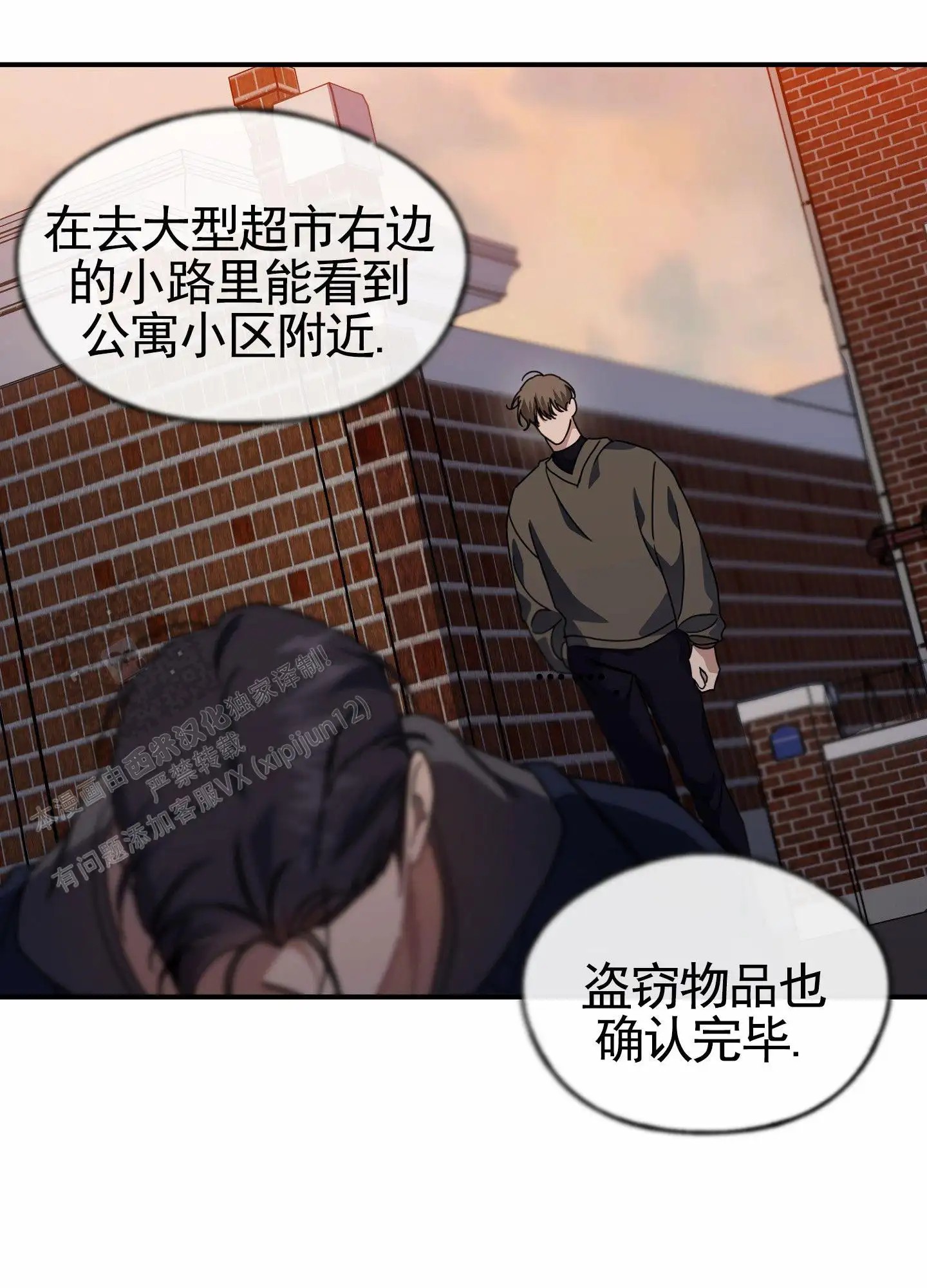 衣柜里的秘密 - 抓坏人 - 第54页