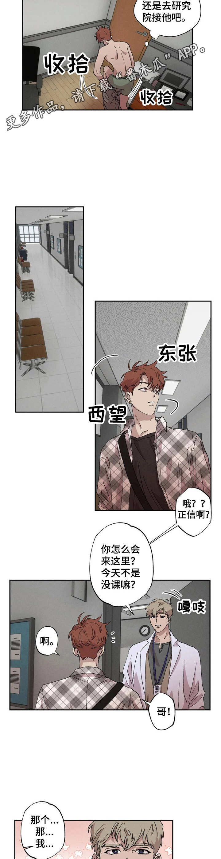 双重陷阱 - 紧张 - 第5页