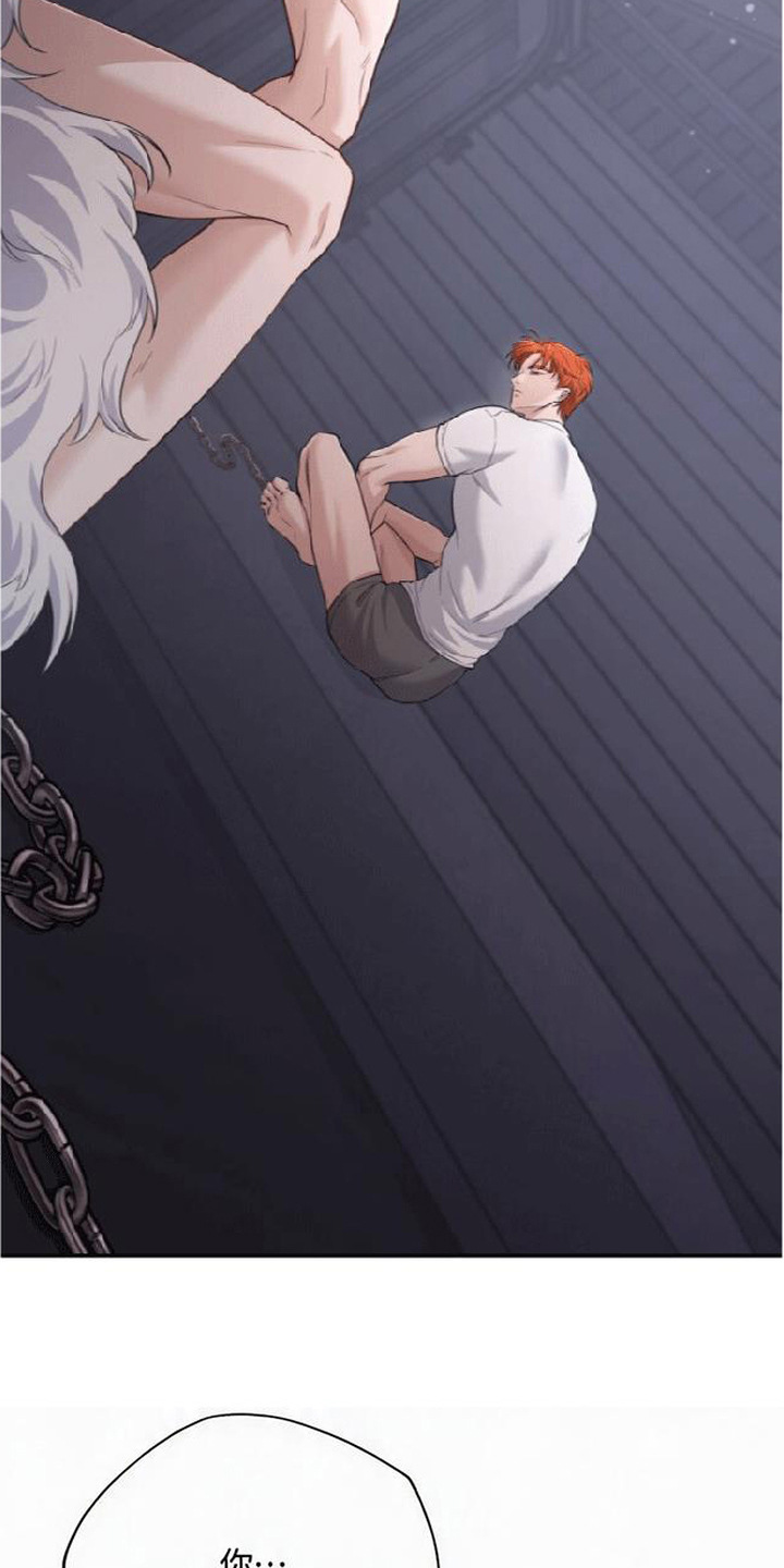 星光狼影 - 委屈 - 第13页