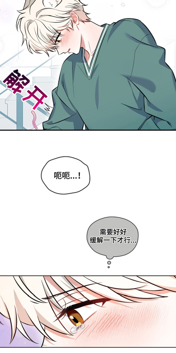 狐狸特饮 - 视线 - 第14页