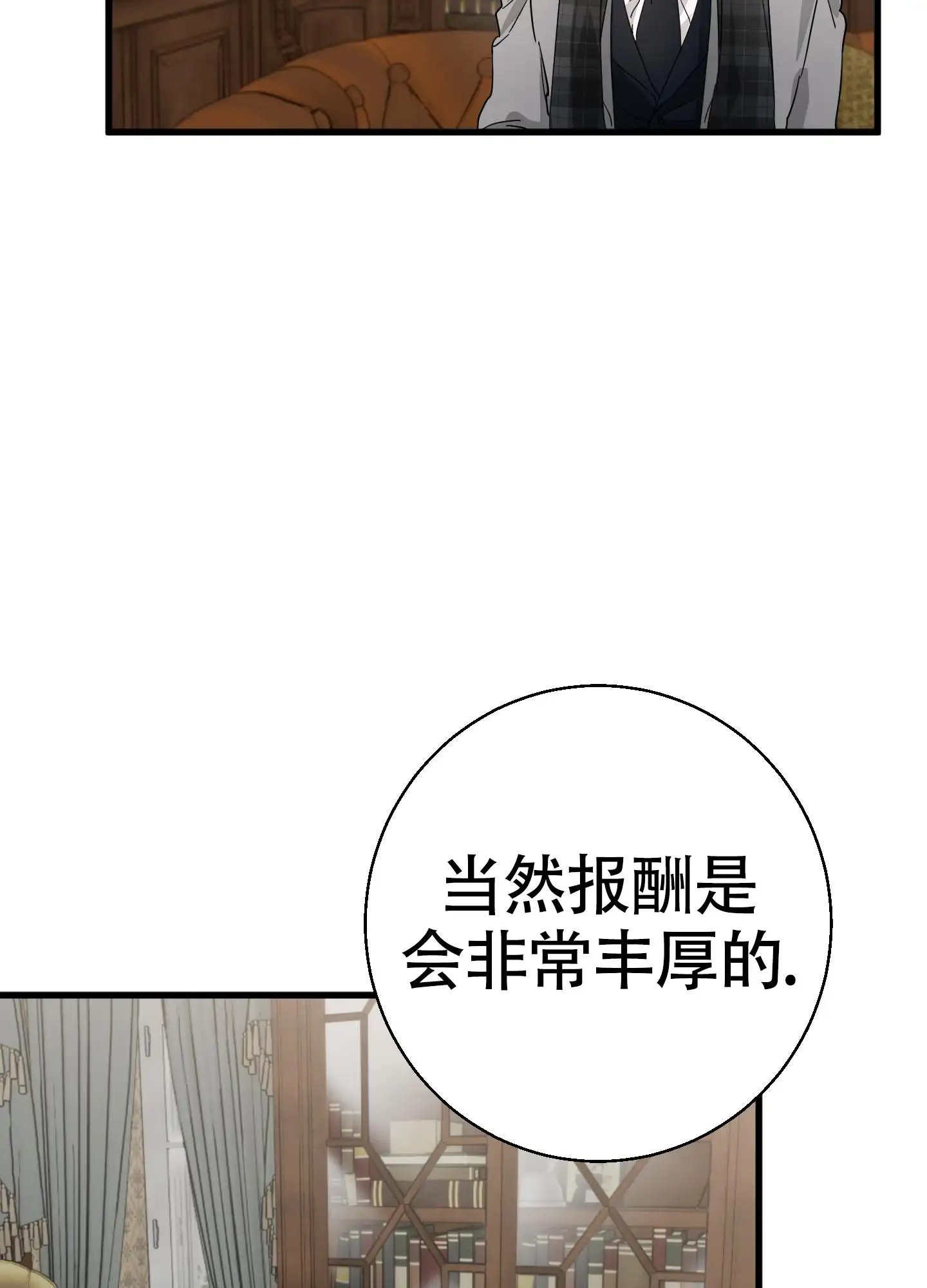 神秘委托人 - 失窃 - 第13页