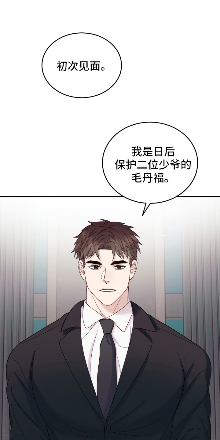 兔子保镖 - 双头蛇 - 第17页