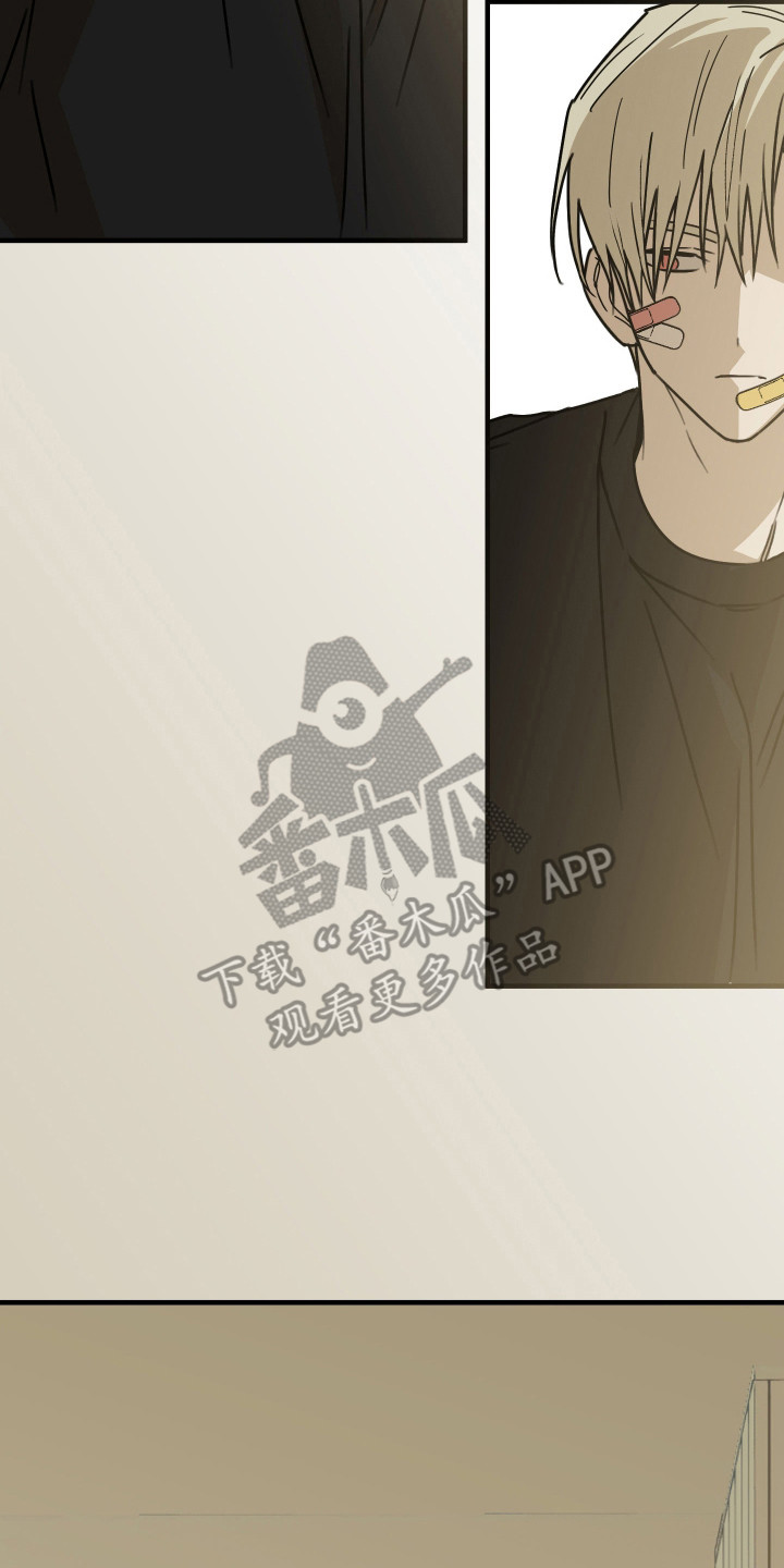 我的狐妖同事 - 你是猫吗 - 第9页