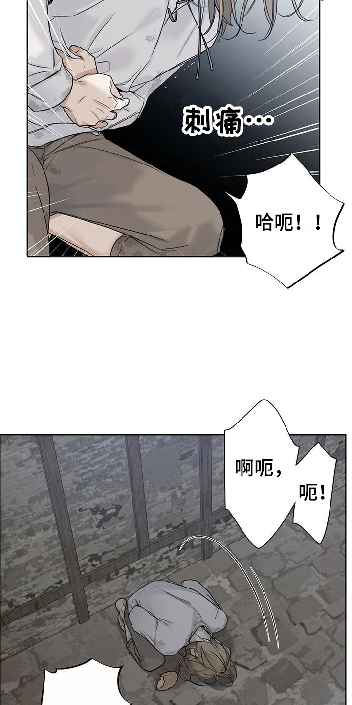 走进玫瑰园 - 底层 - 第14页