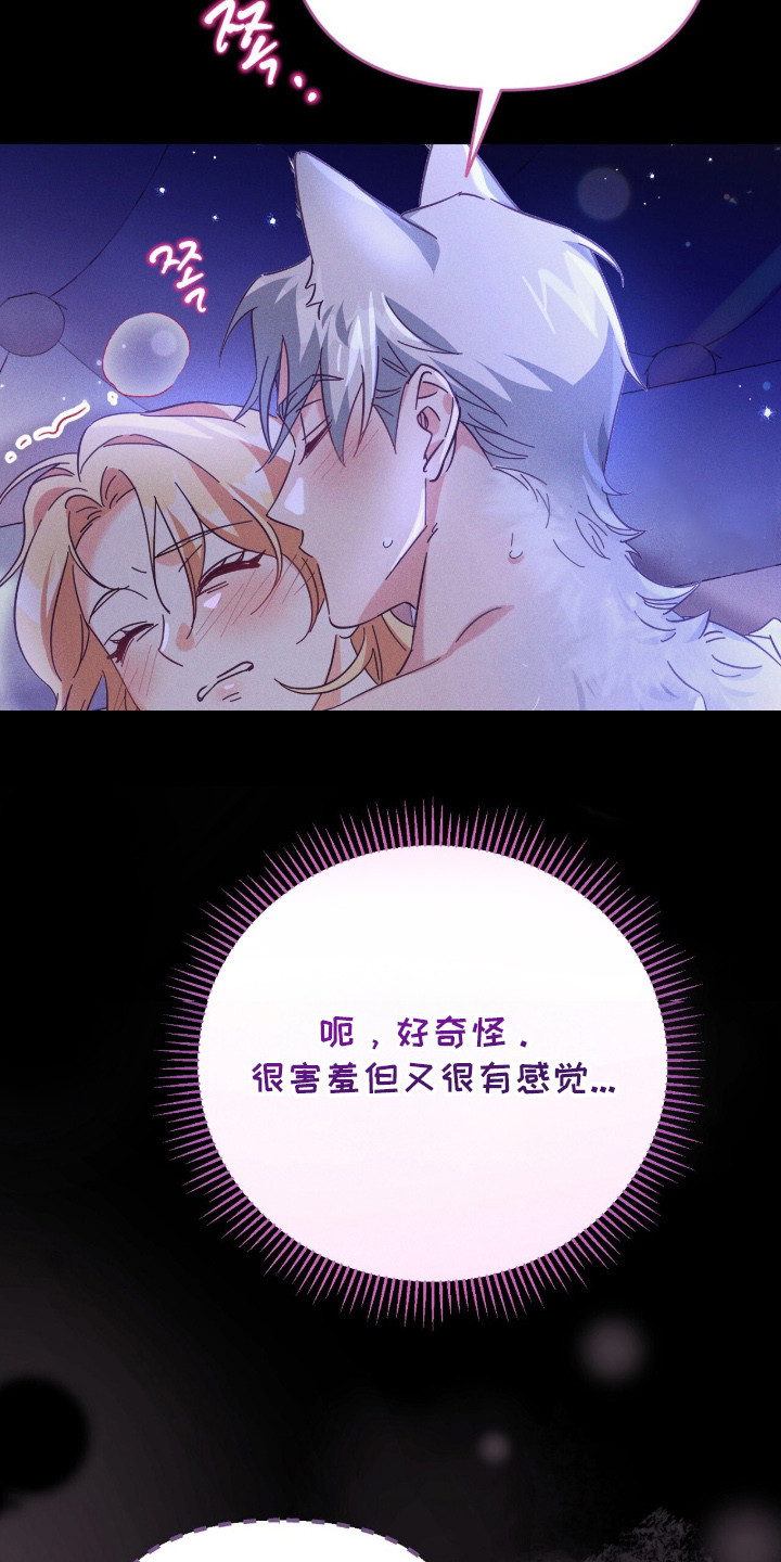 悔婚之夜 - 婚姻 - 第12页