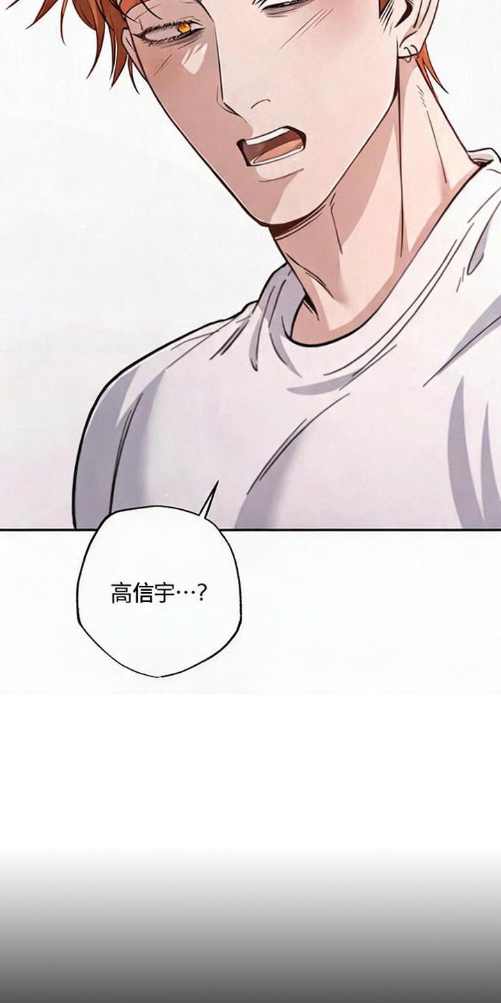 星光狼影 - 意料之外 - 第10页