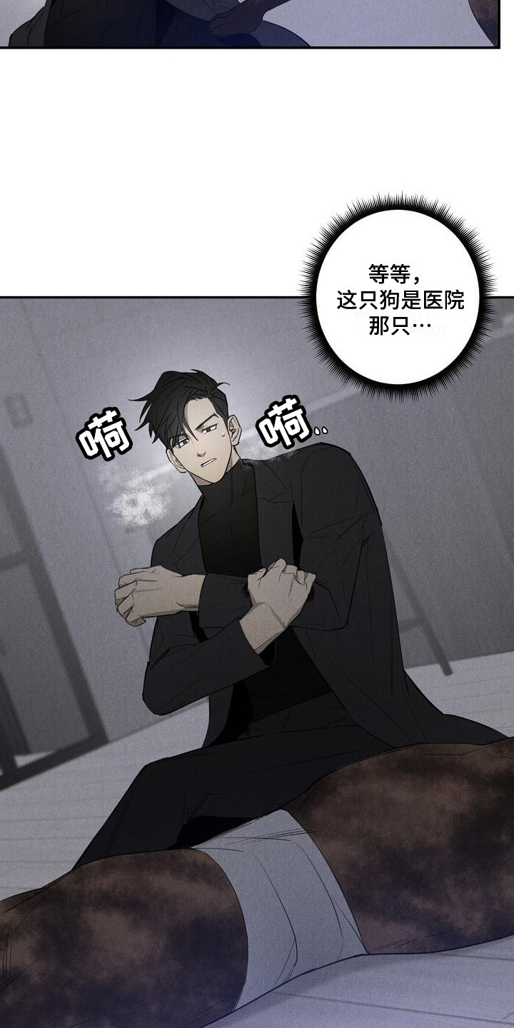 迷失方向 - 变身 - 第10页