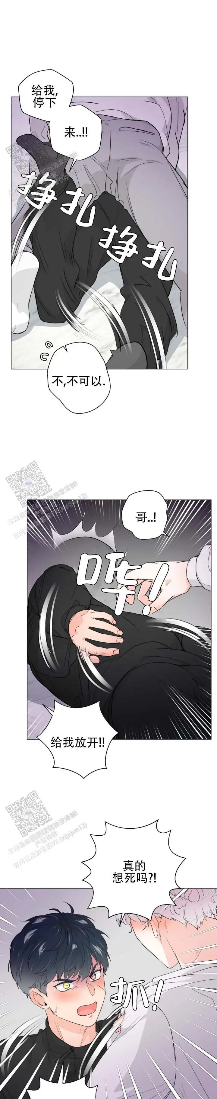 老虎生日糕 - 你个疯子 - 第6页