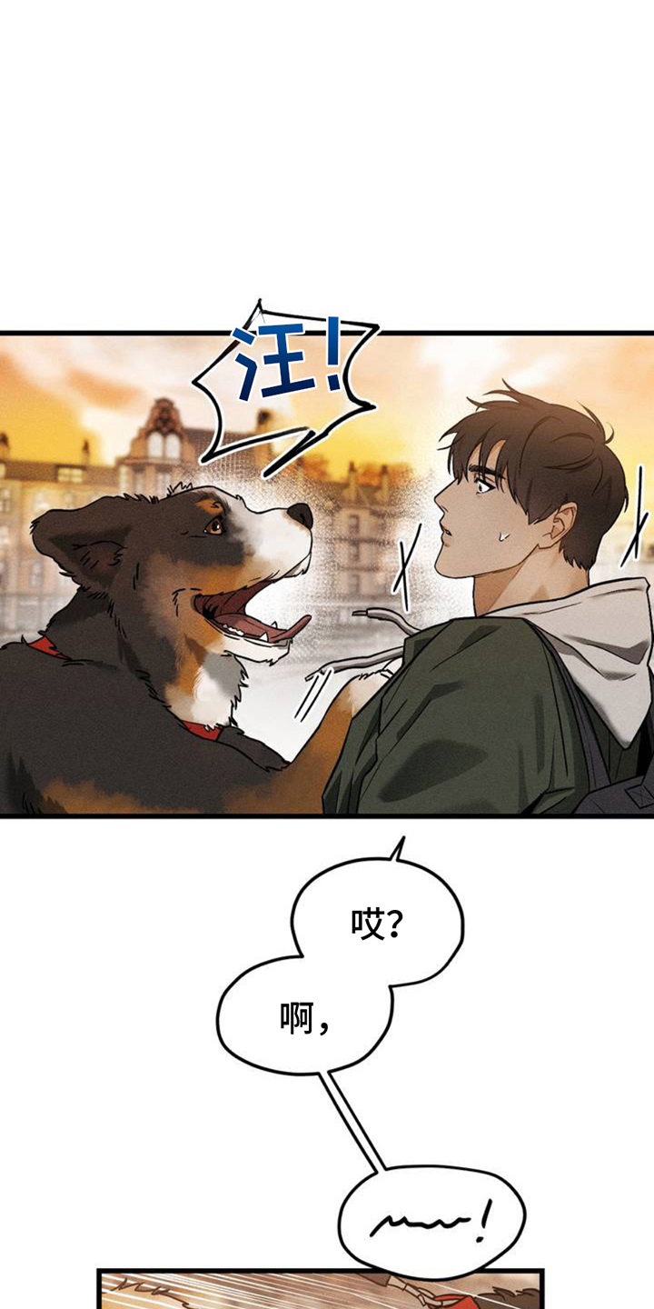 异国替身 - 相似 - 第10页