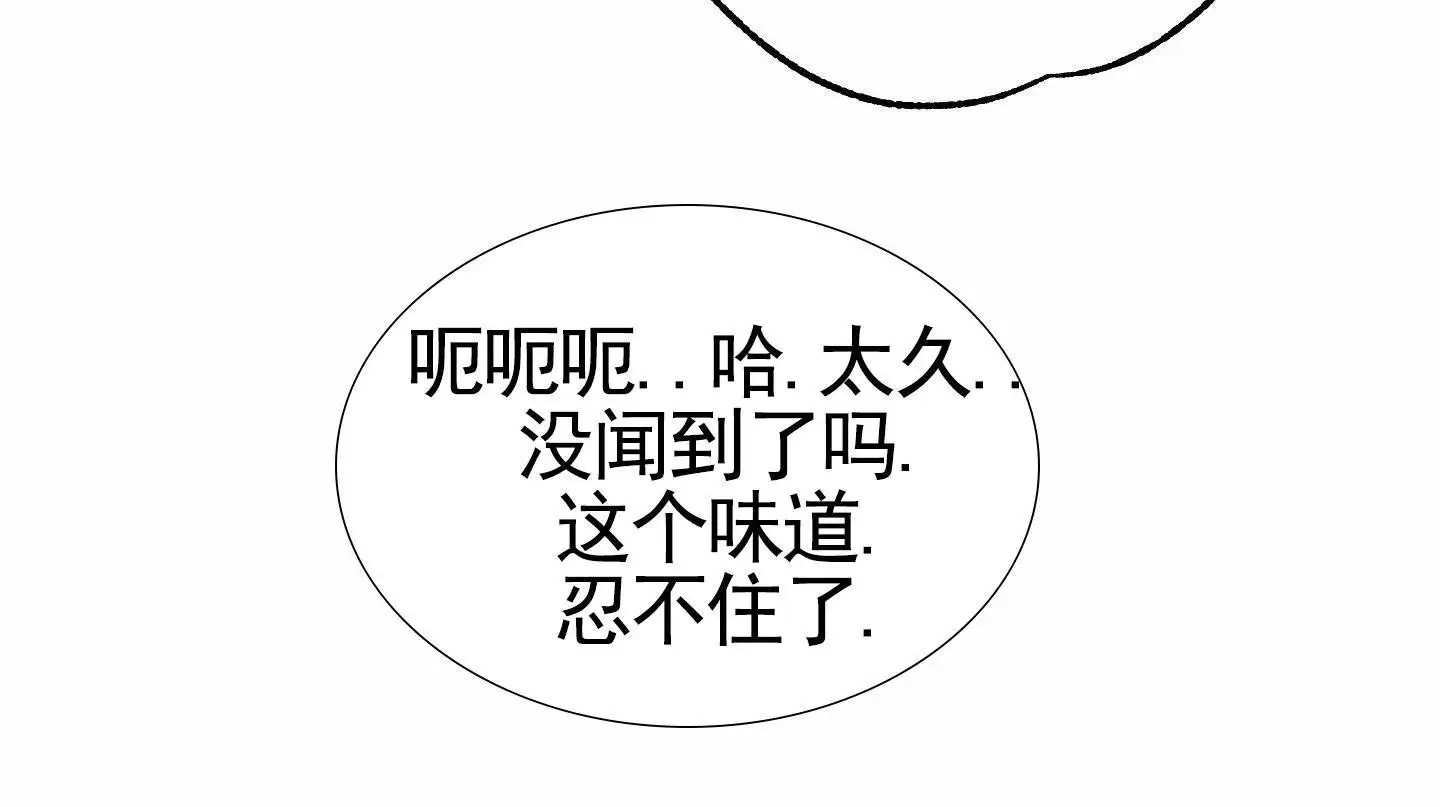 厄运之恋 - 好奇心 - 第22页