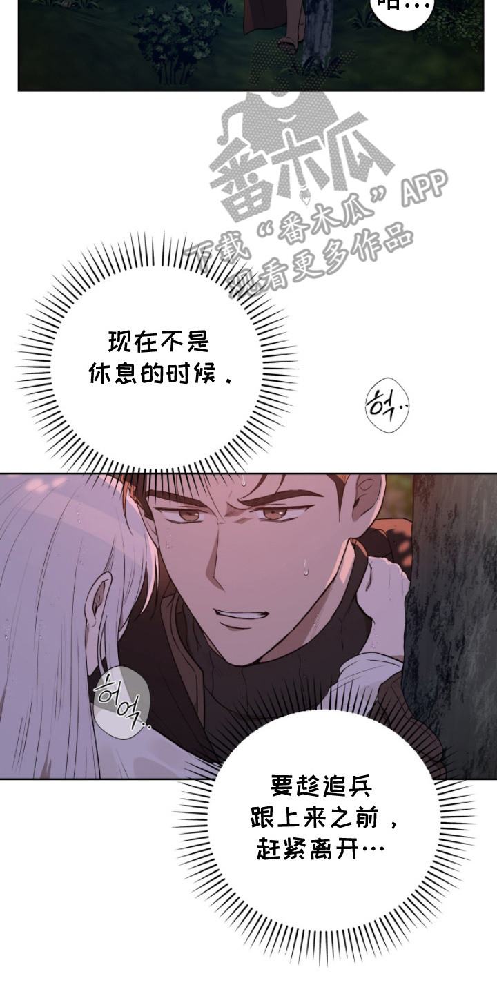 伪信之痕 - 逃亡 - 第18页