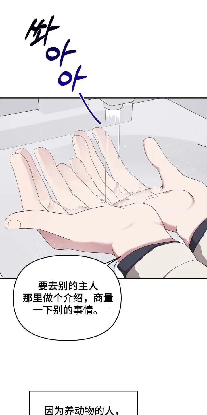 猛宠旧情 - 宠物管理 - 第21页