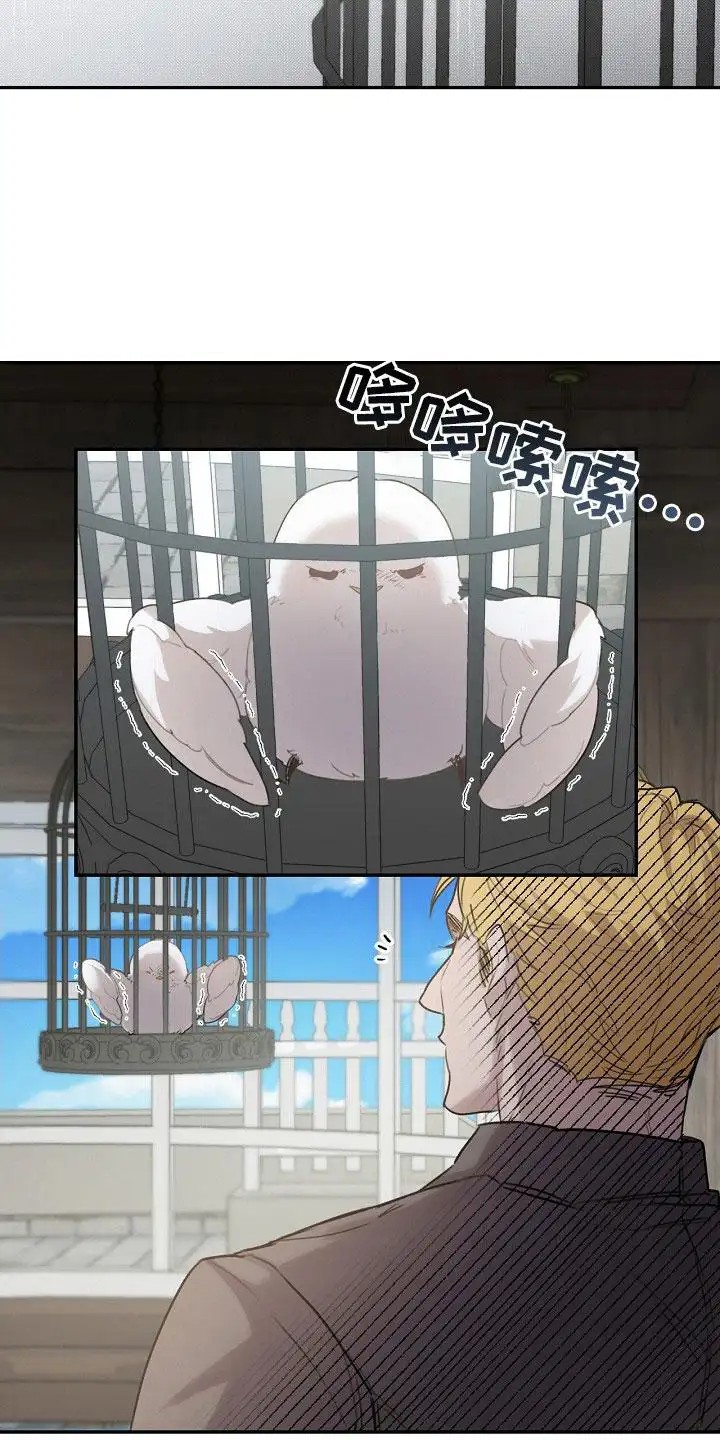 白鸟奇遇记 - 捕获 - 第10页