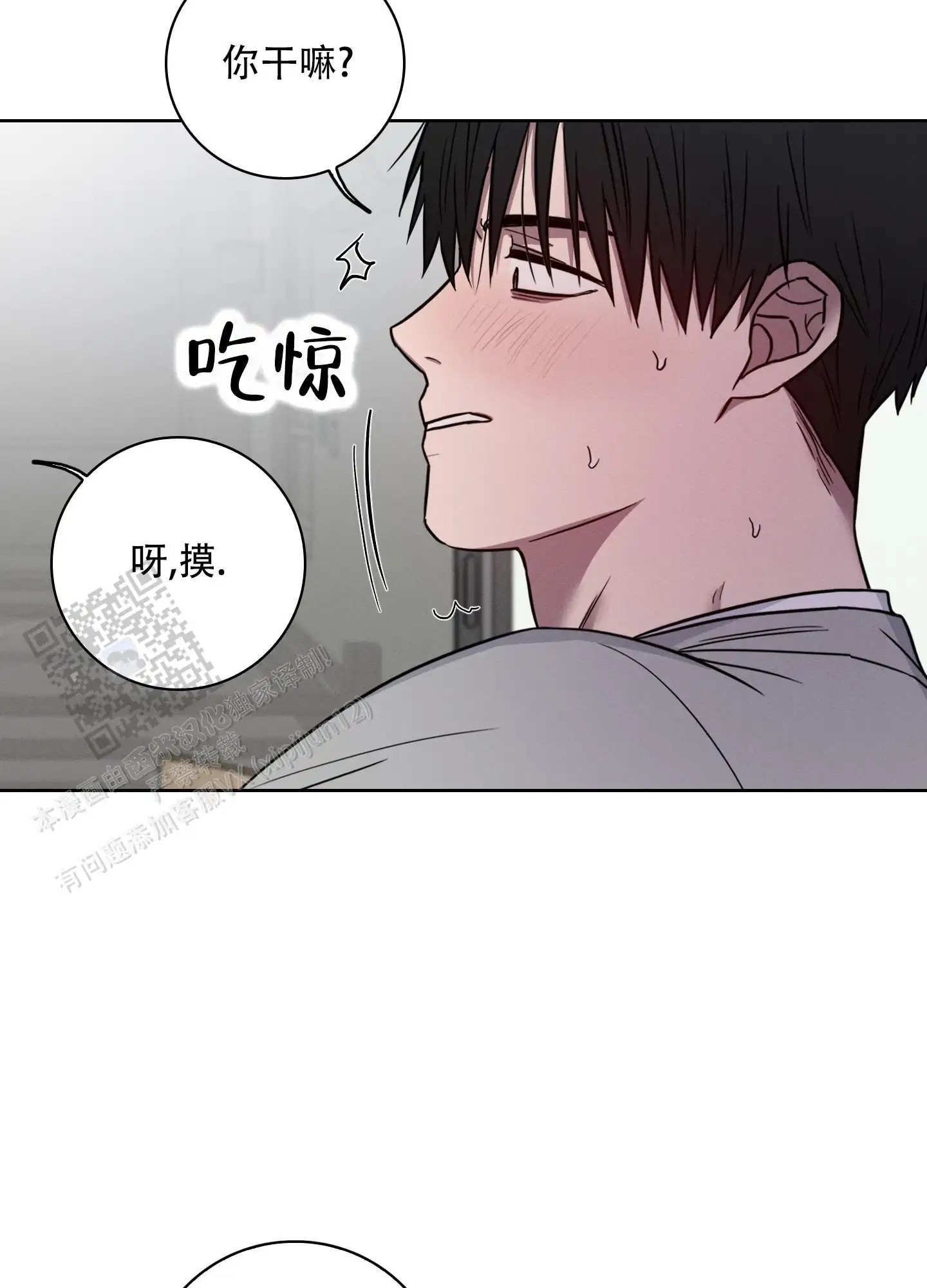 辣椒失踪事件 - 跟我聊一聊 - 第24页