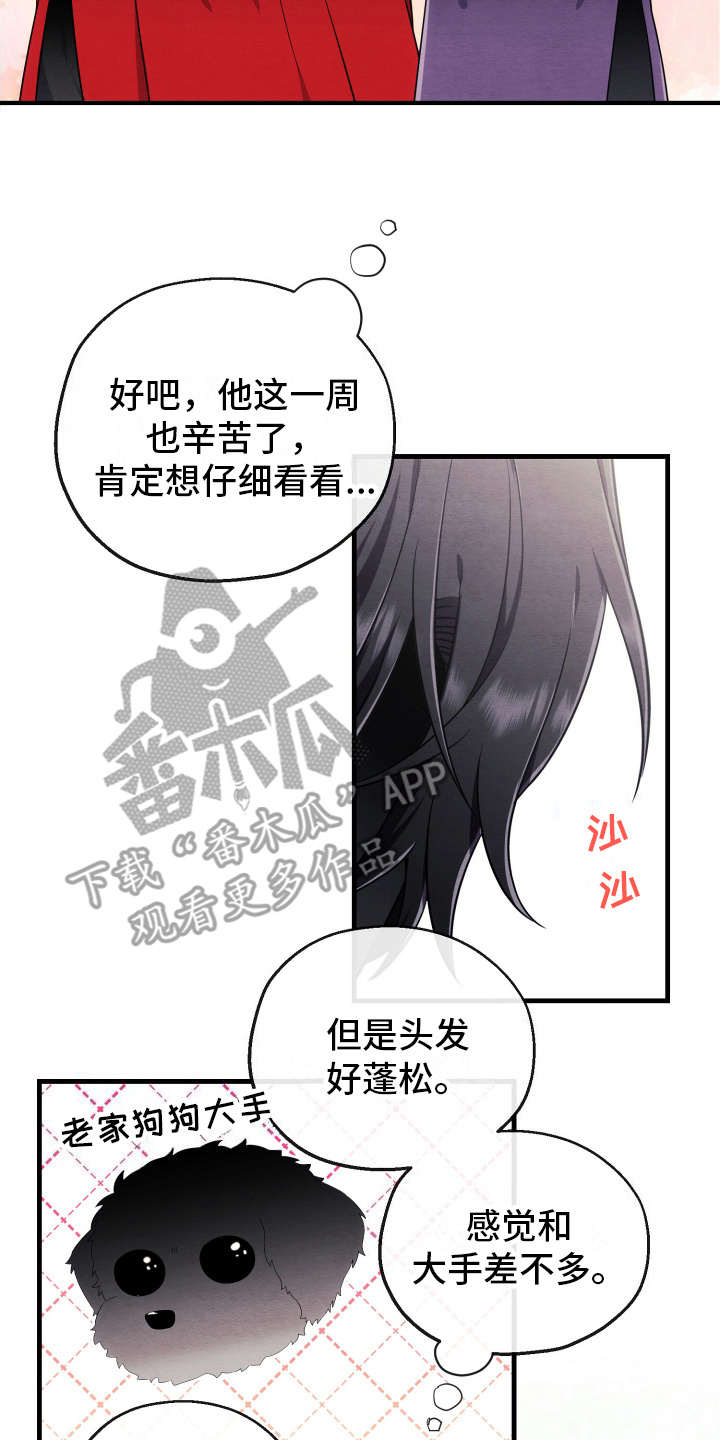 虚拟婚姻 - 采集成功 - 第19页