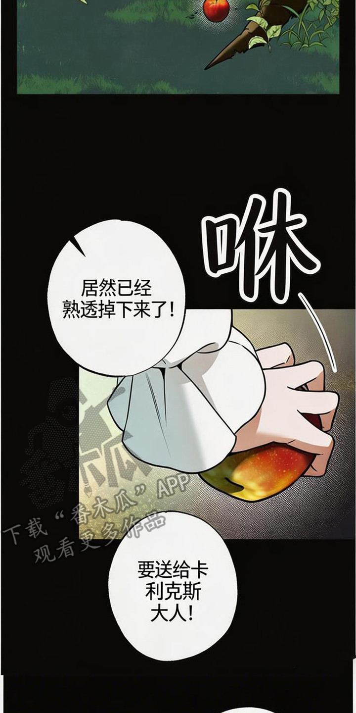 萎缩的恋心 - 苹果 - 第11页
