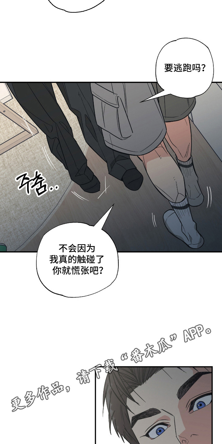 猫大爷和我 - 慌张 - 第12页