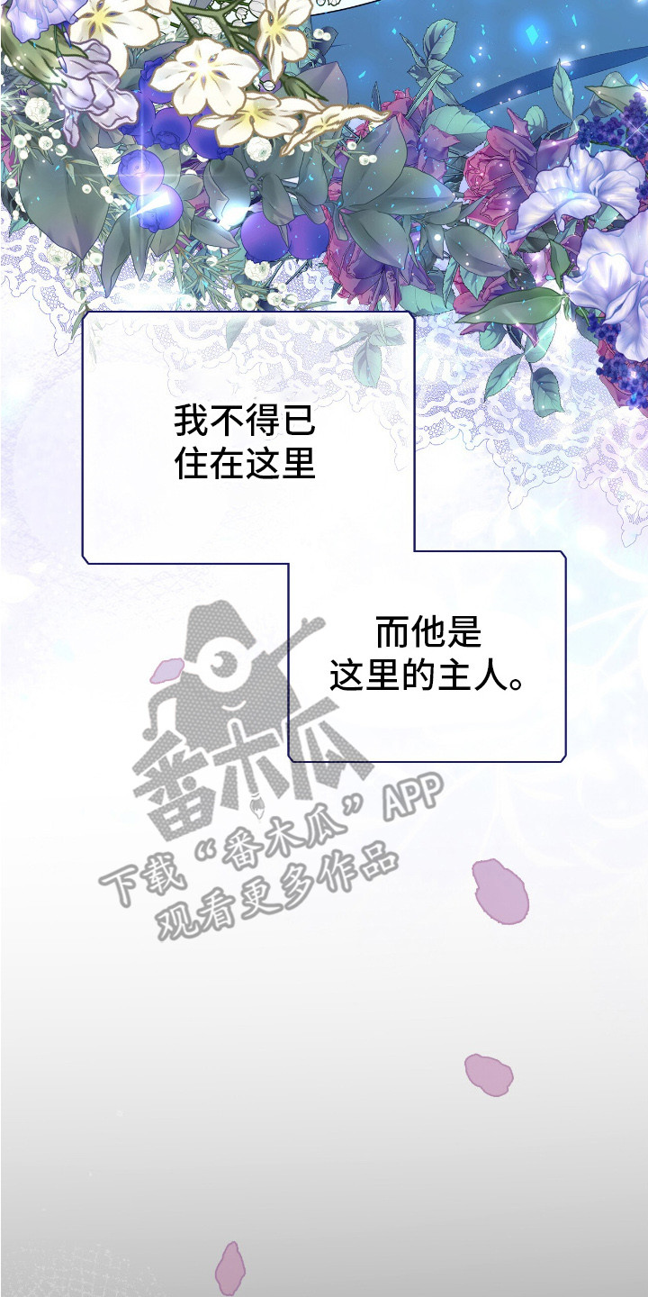 疯批大公的玩偶 - 棉花娃娃 - 第18页