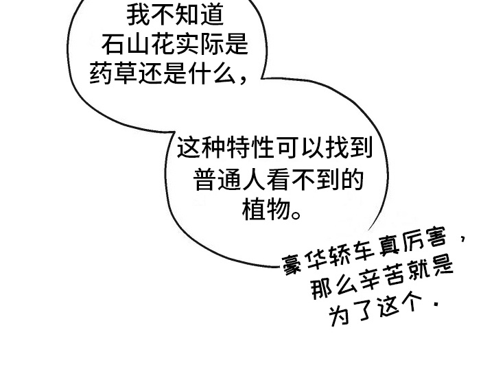 虚拟婚姻 - 石山花 - 第16页
