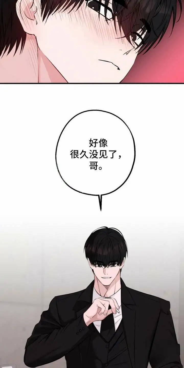 高墙之下 - 离开的办法 - 第11页