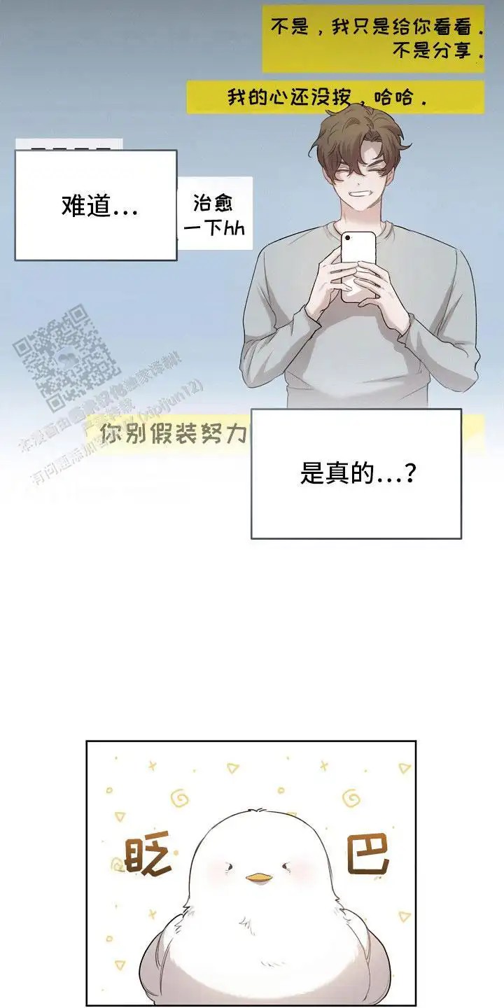 白鸟奇遇记 - 是真的 - 第11页