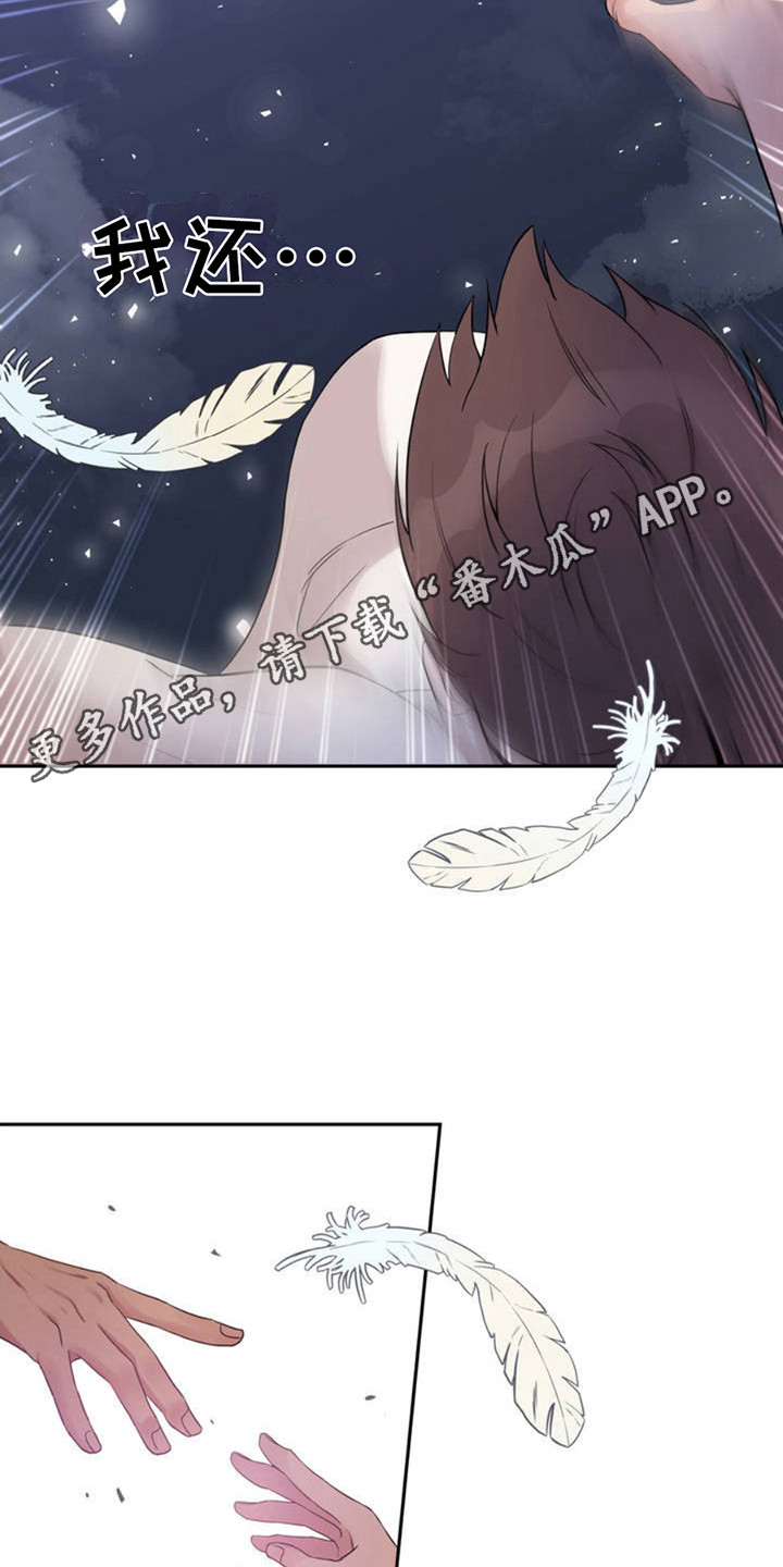 天使之吻 - 天使 - 第6页