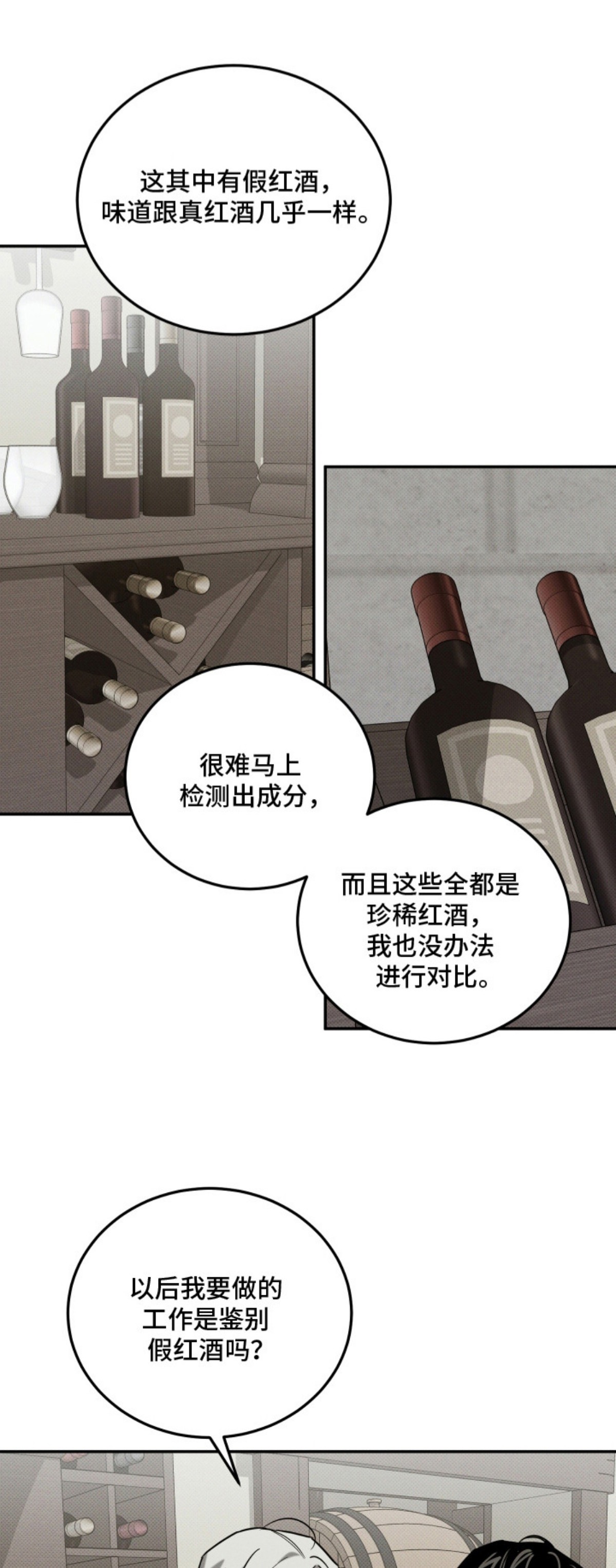 致命醇香 - 鉴别红酒 - 第12页