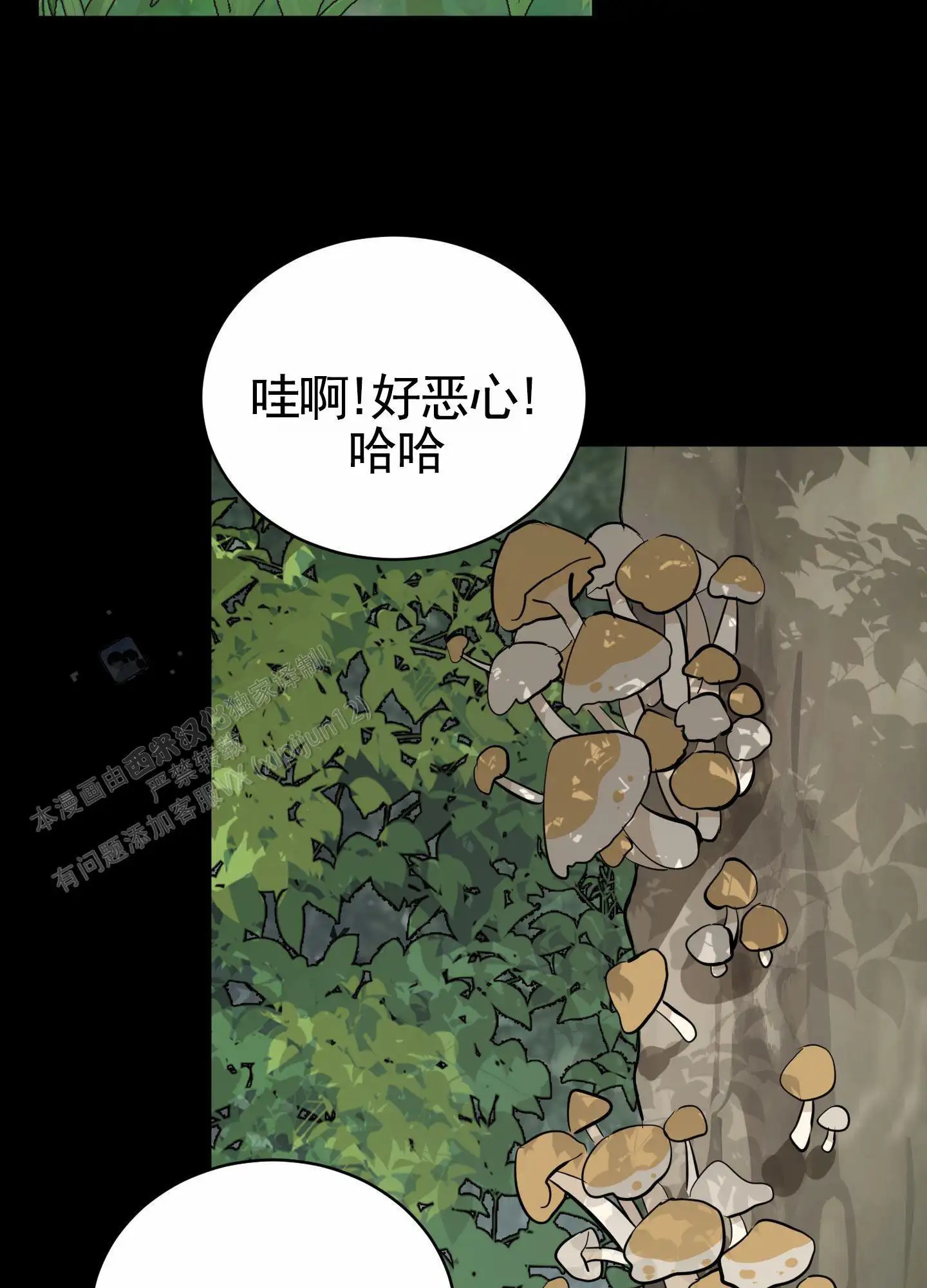 无名之花 - 疯狂逃课 - 第12页