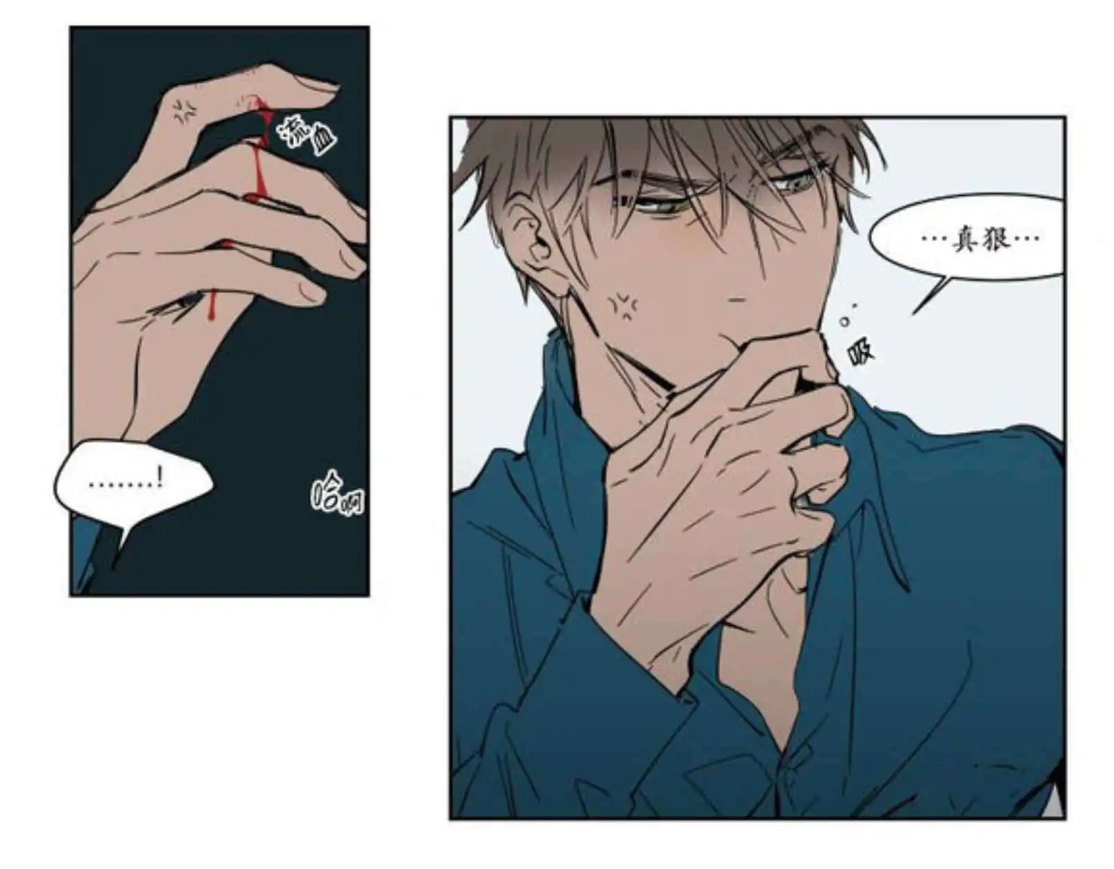 被驯服的遗产 - 强忍 - 第14页