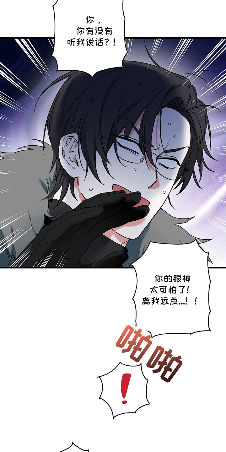 无效觉醒 - 无效化 - 第13页