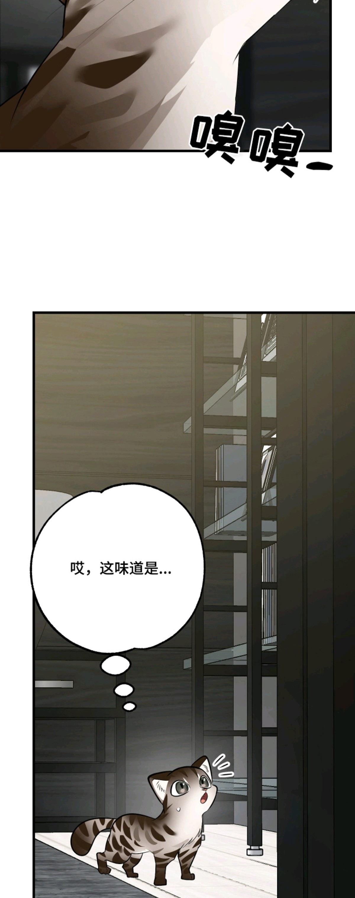 野猫的命定人类 - 闯祸了 - 第12页