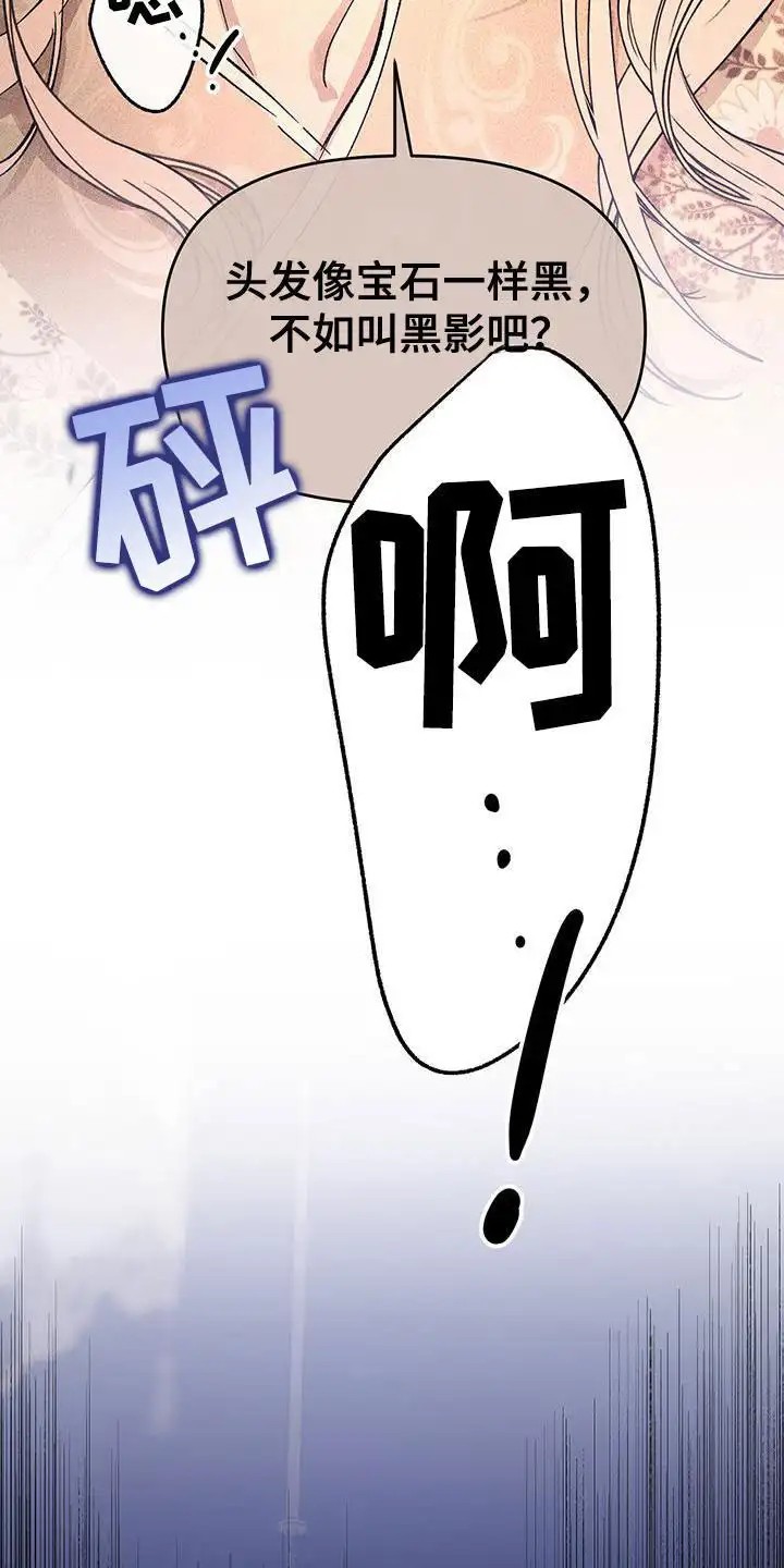 花莲守护神 - 做梦 - 第9页